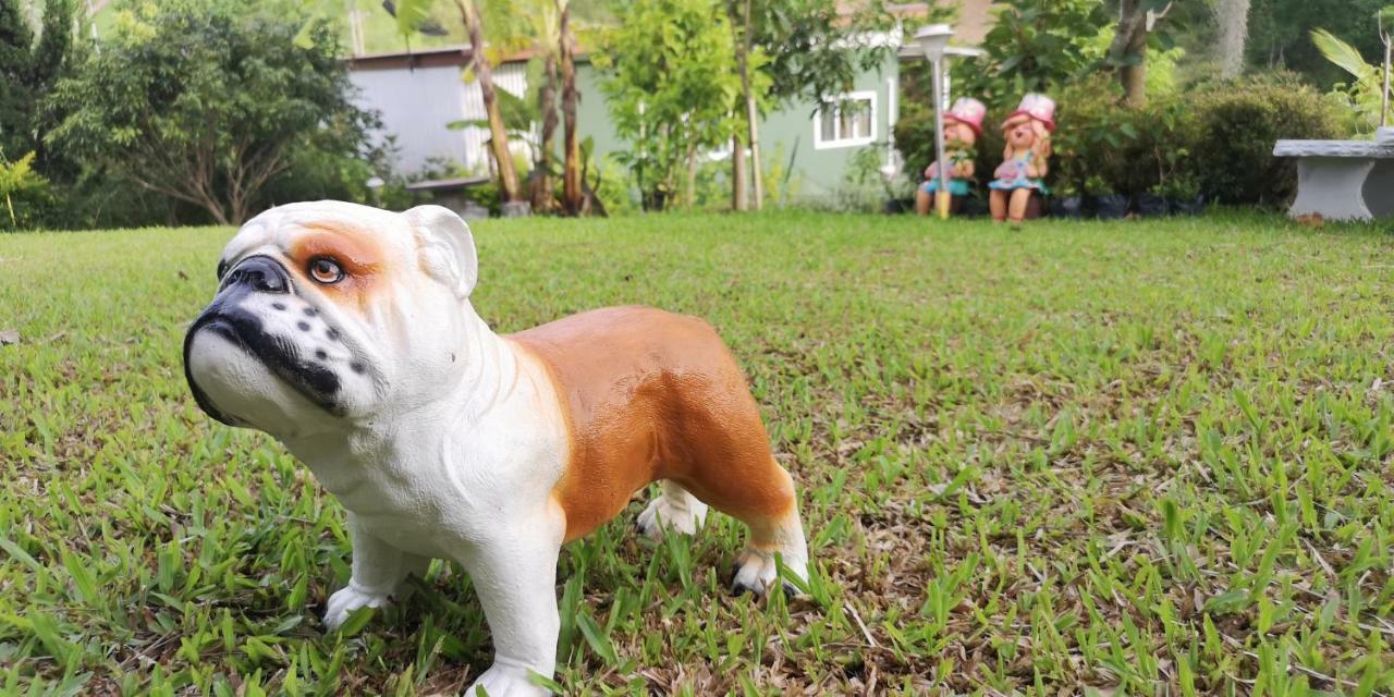 บ้านปลายฝัน Baanplaifun Ban Huai Phai Exterior foto